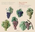 Cover-Bild zum Titel 'M£sica En Tiempos De Velasquez' von 'Romanesca'