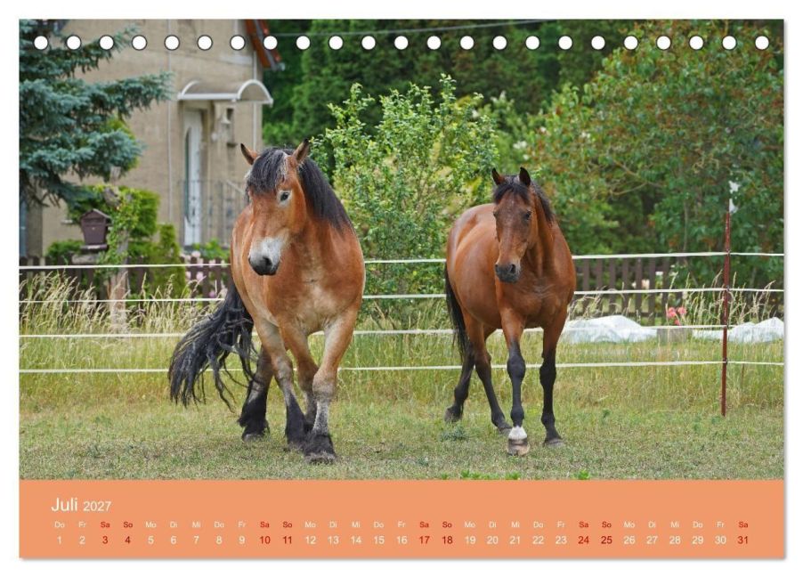 InsideView 12