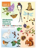 Cover-Bild zum Titel 'Expedition Natur: Erkennen, Basteln, Staunen - Vier Jahreszeiten' von 'Francois Lasserre'
