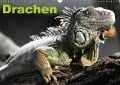 Drachen / Geburtstagskalender (Wandkalender immerwährend DIN A3 quer) - Elisabeth Stanzer