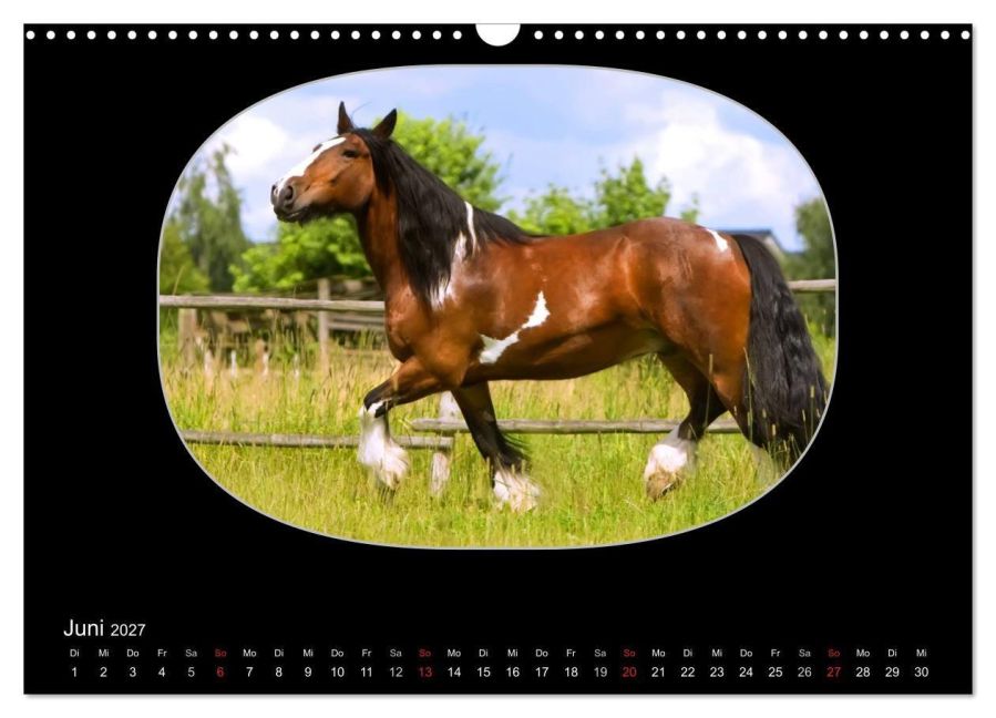 InsideView 11