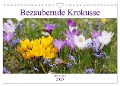 Bezaubernde Krokusse (Wandkalender 2025 DIN A4 quer), CALVENDO Monatskalender - Gisela Kruse