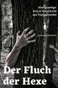 Cover-Bild zum Titel 'Der Fluch der Hexe' von 'Hannah Stollner'