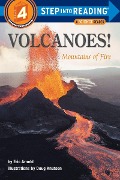 Volcanoes! - Eric Arnold