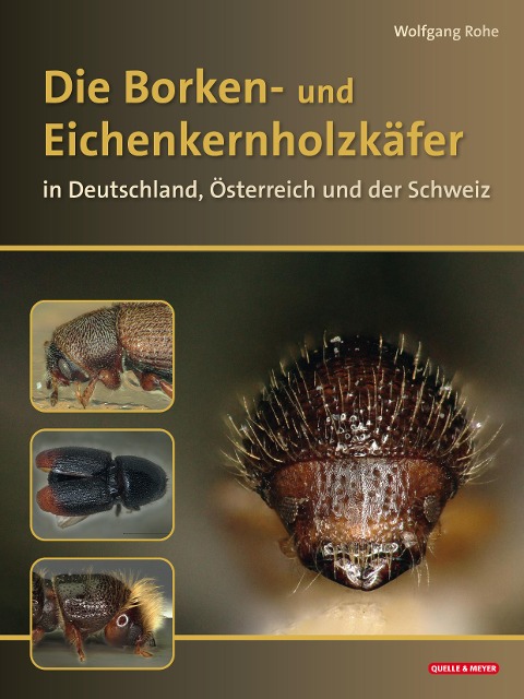 Die Borkenkäfer Deutschlands, Österreichs und der Schweiz - Wolfgang Rohe