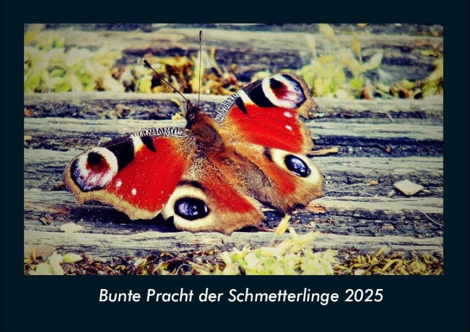 Bunte Pracht der Schmetterlinge 2025 Fotokalender DIN A4 - Tobias Becker