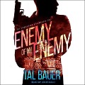 Enemy of My Enemy - Tal Bauer