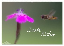 Zarte Natur 2026 (Wandkalender 2026 DIN A2 quer), CALVENDO Monatskalender - Ulrike Adam
