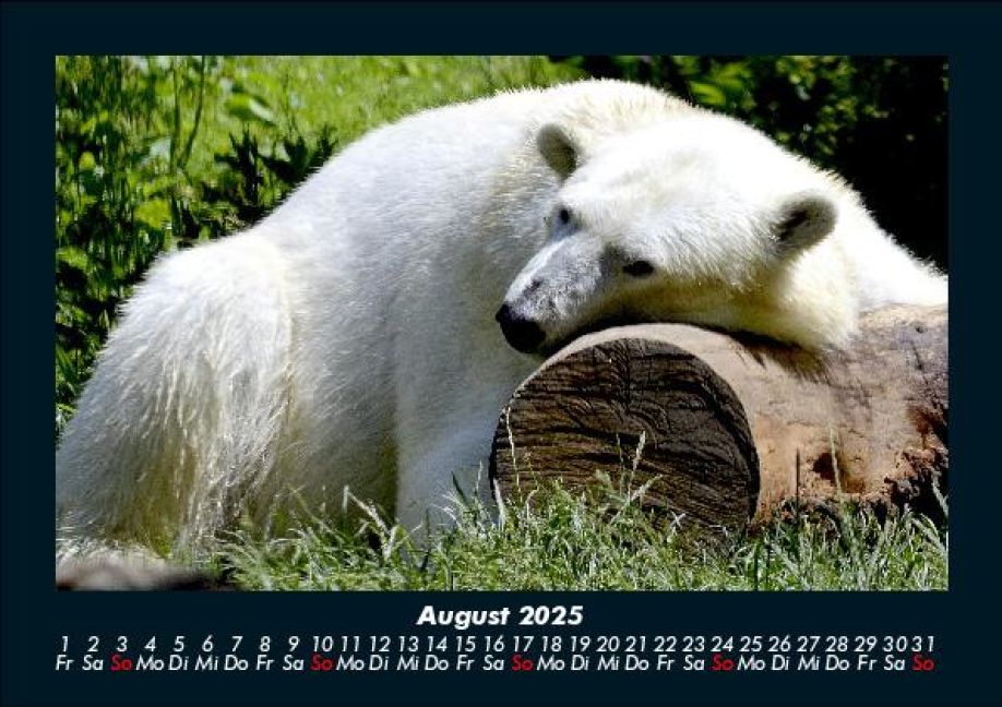 InsideView 12