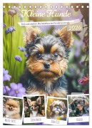 Kleine Hunde. Süß und niedlich. Die beliebtesten Hunderassen (Tischkalender 2026 DIN A5 hoch), CALVENDO Monatskalender - Rose Hurley