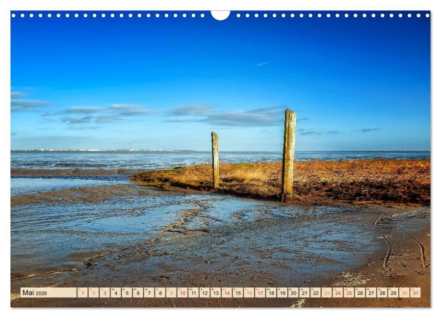 InsideView 10