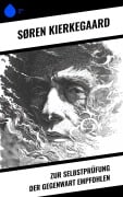 Cover-Bild zum Titel 'Zur Selbstprüfung der Gegenwart empfohlen' von 'Søren Kierkegaard'