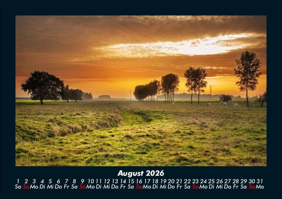 InsideView 12