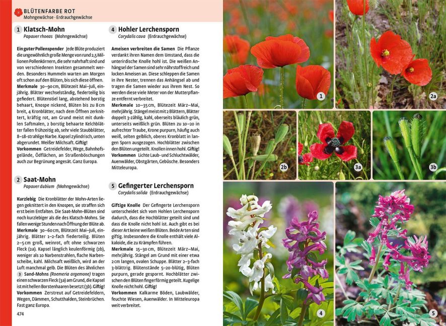 InsideView 4
