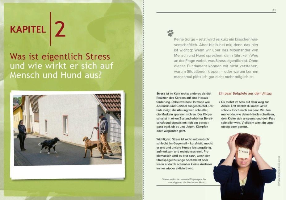 InsideView 3
