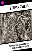 Cover-Bild zum Titel 'Verwirrung der Gefühle und andere Novellen' von 'Stéphane Zweig'