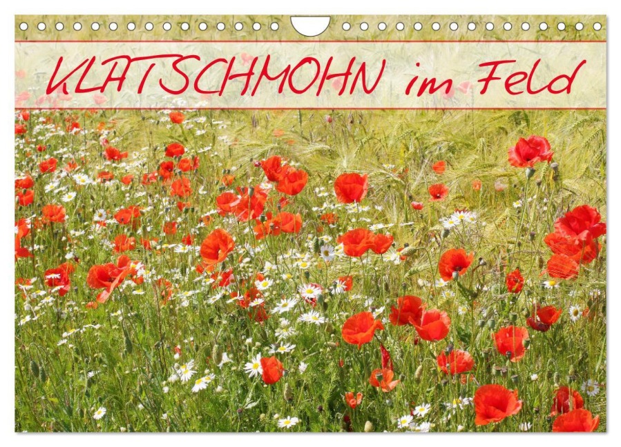 Klatschmohn im Feld (Wandkalender 2026 DIN A4 quer), CALVENDO Monatskalender - Gisela Kruse