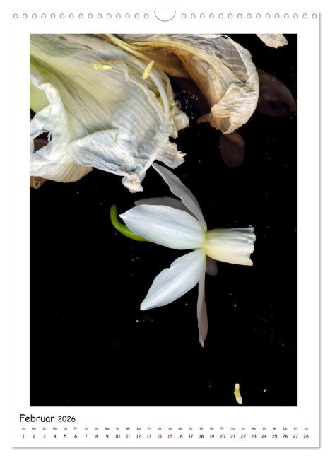 InsideView 7