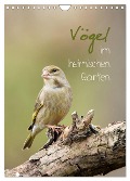 Vögel im heimischen Garten (Wandkalender 2024 DIN A4 hoch), CALVENDO Monatskalender - Heidi Spiegler