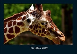 Cover-Bild zum Titel 'Giraffen 2025 Fotokalender DIN A4' von 'Tobias Becker'