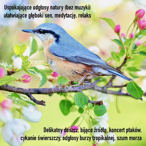 Uspokajaj¿ce odg¿osy natury (bez muzyki) u¿atwiaj¿ce g¿¿boki sen, medytacj¿, relaks - Liliana Lis