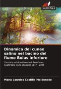 Cover-Bild zum Titel 'Dinamica del cuneo salino nel bacino del fiume Bolas inferiore' von 'María Lourdes Castilla Maldonado'