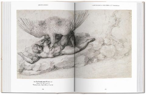InsideView 8