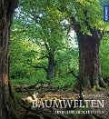 Cover-Bild zum Titel 'Baumwelten' von 'Conrad Amber'