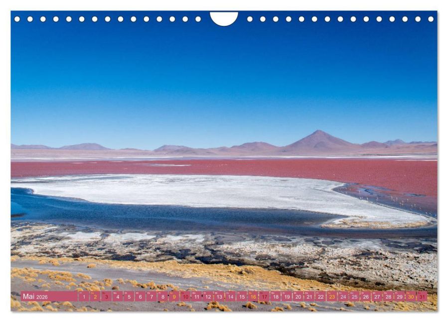 InsideView 10