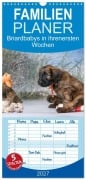 Cover-Bild zum Titel 'Familienplaner 2027 - Briardbabys in ihren ersten Wochen mit 5 Spalten (Wandkalender, 21 x 45 cm) CALVENDO' von 'Sonja Teßen'