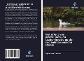 Cover-Bild zum Titel 'Het effect van plattelands- en stadsmigratie op de sociaaleconomische status' von 'Alphonse Badolo'