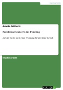 Cover-Bild zum Titel 'Familienstrukturen im Findling' von 'Amelie Prittwitz'