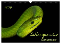 Cover-Bild zum Titel 'Schlangen und Co. - Faszination pur (Wandkalender 2026 DIN A3 quer), CALVENDO Monatskalender' von 'Sigrid Enkemeier'