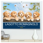 Lagotto Romagnolo - Bilder aus der Kinderstube (hochwertiger Premium Wandkalender 2026 DIN A2 quer), Kunstdruck in Hochglanz - Sigrid Starick