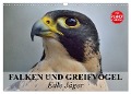 Falken und Greifvögel - Edle Jäger (Wandkalender 2025 DIN A3 quer), CALVENDO Monatskalender - Elisabeth Stanzer