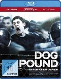 Cover-Bild zum Titel 'Dog Pound' von 'Jeremie Delon, Kim Chapiron, Nikkfurie, Balmorhea, Knaan'