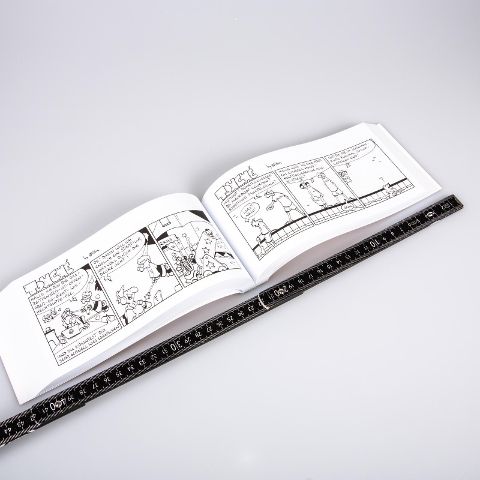 InsideView 2