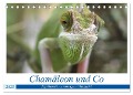 Chamäleon und Co (Tischkalender 2025 DIN A5 quer), CALVENDO Monatskalender - Agata Muszalski
