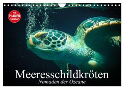 Cover-Bild zum Titel 'Meeresschildkröten. Nomaden der Ozeane (Wandkalender 2026 DIN A4 quer), CALVENDO Monatskalender' von 'Elisabeth Stanzer'