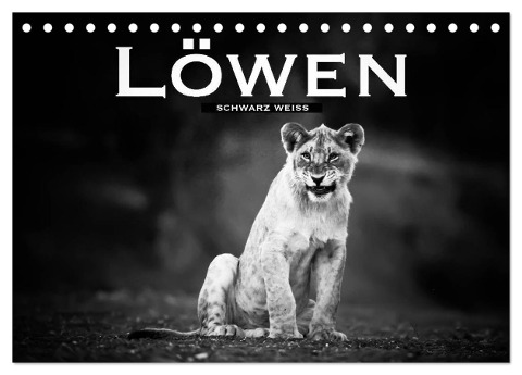 Löwen schwarz weiß (Tischkalender 2024 DIN A5 quer), CALVENDO Monatskalender - Robert Styppa