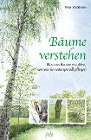  Bäume verstehen