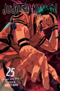 Cover-Bild zum Titel 'Jujutsu Kaisen, Vol. 25' von 'Gege Akutami'