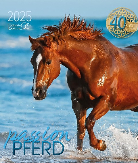 Passion Pferd 2025 - 