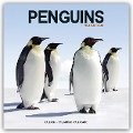 Penguins - Pinguine 2024 - 16-Monatskalender - Avonside Publishing Ltd