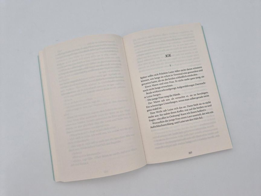 InsideView 6