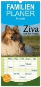 Cover-Bild zum Titel 'Familienplaner 2026 - Ziva und ihre Freunde mit 5 Spalten (Wandkalender, 21 x 45 cm) CALVENDO' von 'Werner Schmäing'