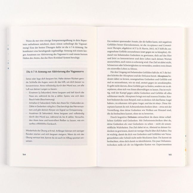 InsideView 2