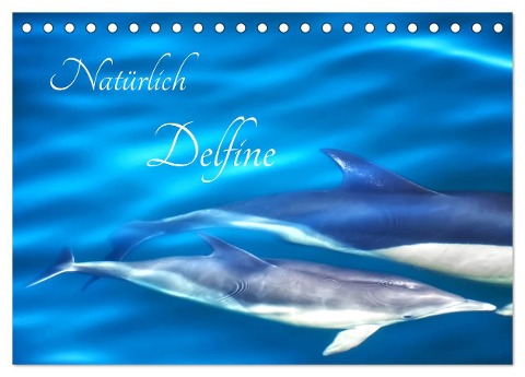 Natürlich Delfine (Tischkalender 2024 DIN A5 quer), CALVENDO Monatskalender - Marion Meyer - Stimmungsbilder1