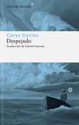 Cover-Bild zum Titel 'Despejado' von 'Carys Davies'