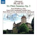 Cover-Bild zum Titel 'Sechs Flötensonaten Op.3' von 'Wahlberg/Sundquist/Sveen'